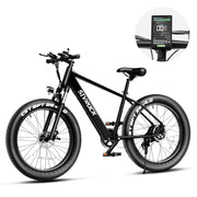 Off-Road Electric Mountain Bike