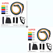 Resistance Bands Set for Strength Training