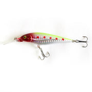 Bionic Soft Bait Fishing Lure