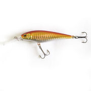 Bionic Soft Bait Fishing Lure