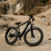 Off-Road Electric Mountain Bike